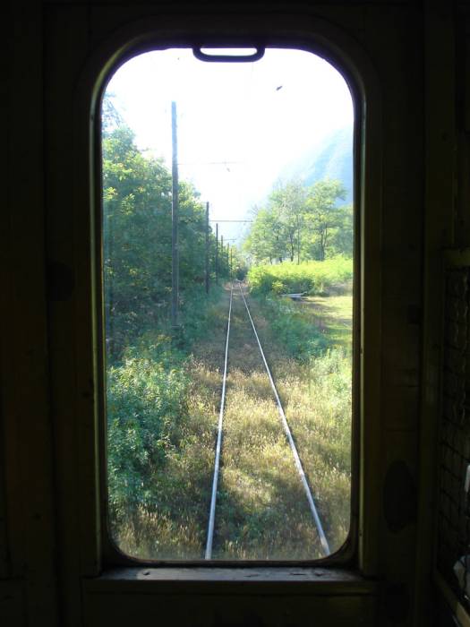 Ein Blick aus dem Führerstand auf die begrünten Gleise.